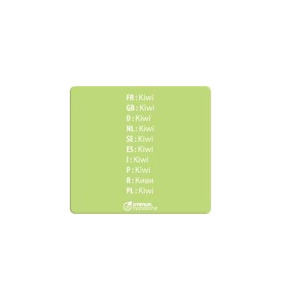 IMAGIER MULTILINGUE FRUITS