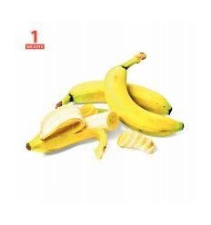 24CARTES OBSERVATION FRUIT/LEG