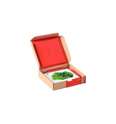 24CARTES OBSERVATION FRUIT/LEG