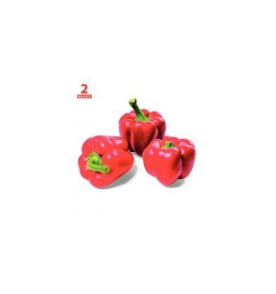 24CARTES OBSERVATION FRUIT/LEG