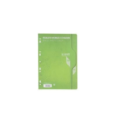 SAC 50 FM A4 SEY 80G VERT