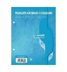 SAC 50 FM 17X22 SEY 80G BLEU 2