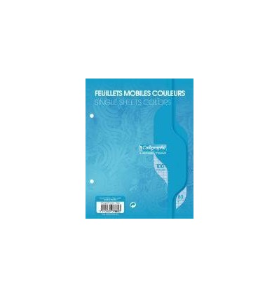 SAC 50 FM 17X22 SEY 80G BLEU