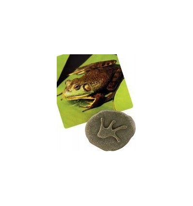 SET 8GALET EMPREINTE ANIM.BOIS