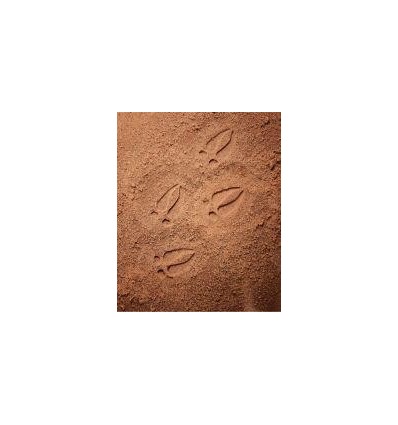 SET 8GALET EMPREINTE ANIM.BOIS