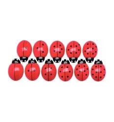 BTE 22 COCCINELLE A COMPTER