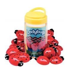 BTE 22 COCCINELLE A COMPTER 2