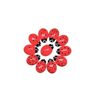 BTE 22 COCCINELLE A COMPTER BTE 22 COCCINELLE A COMPTER