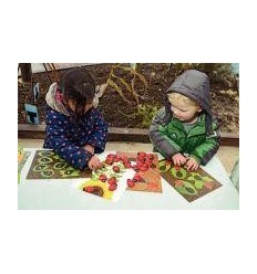 PQ 16 CARTE PLASTIF PR 14135