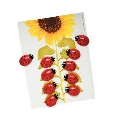 PQ 16 CARTE PLASTIF PR 14135 2