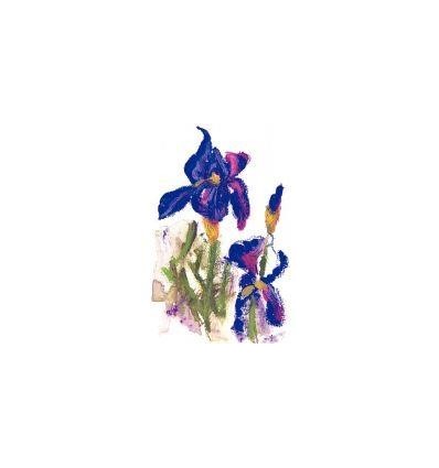 CRAY COUL WOODY ARGENT