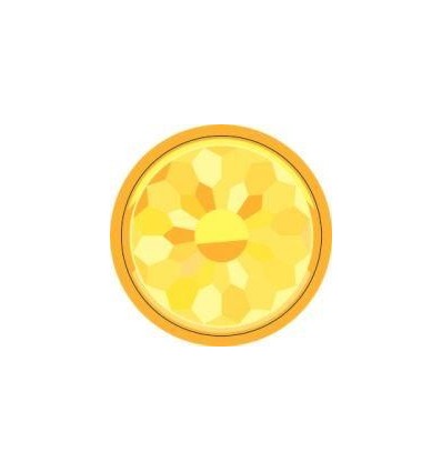 POCH 2200GOMMET PIERRE PRECIEU