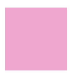 PIQ 48P COUV PP 17X22 SEY ROSE