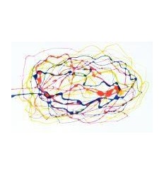 POT 250ML GEL FILANT BRILLANT