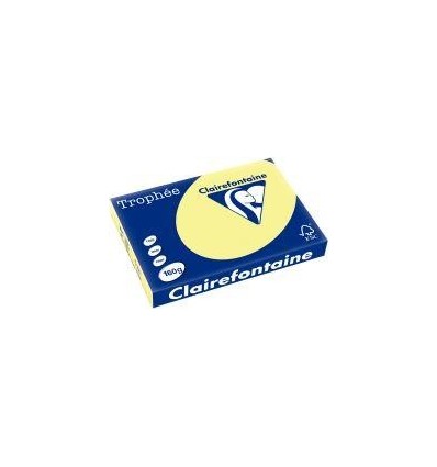 PQ 250F CLAIRF A3 160G JONQUIL